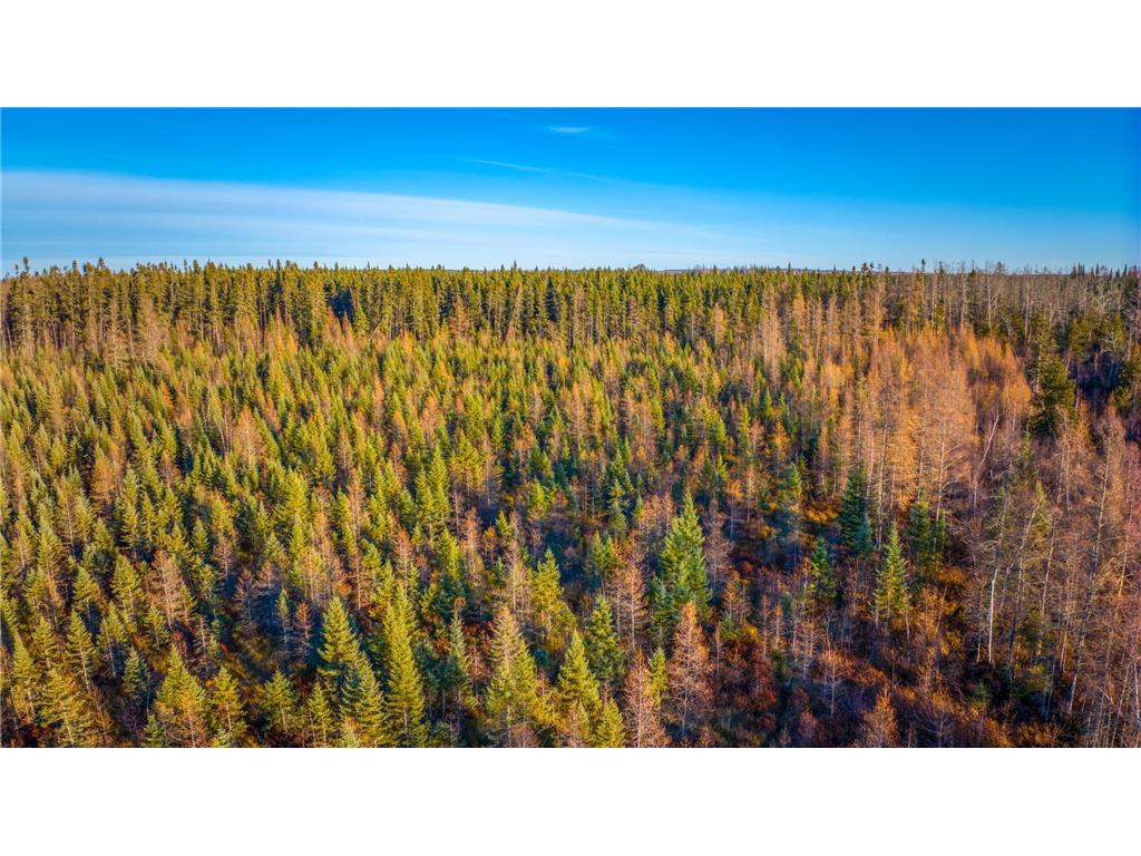 TBD Dora Lake Rd Kinghurst Twp MN 56661 7050749 image49