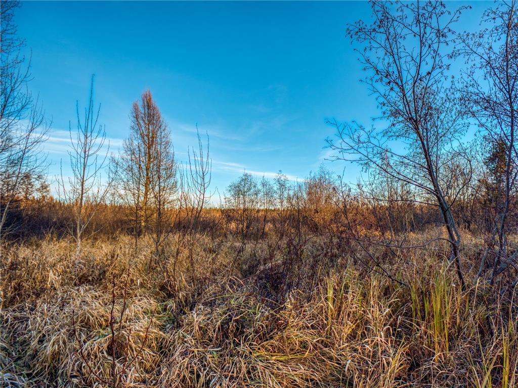 TBD Dora Lake Rd Kinghurst Twp MN 56661 7050749 image5