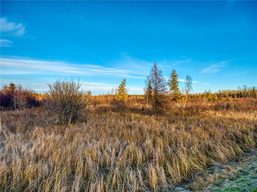 TBD Dora Lake Rd Kinghurst Twp MN 56661 7050749 image7