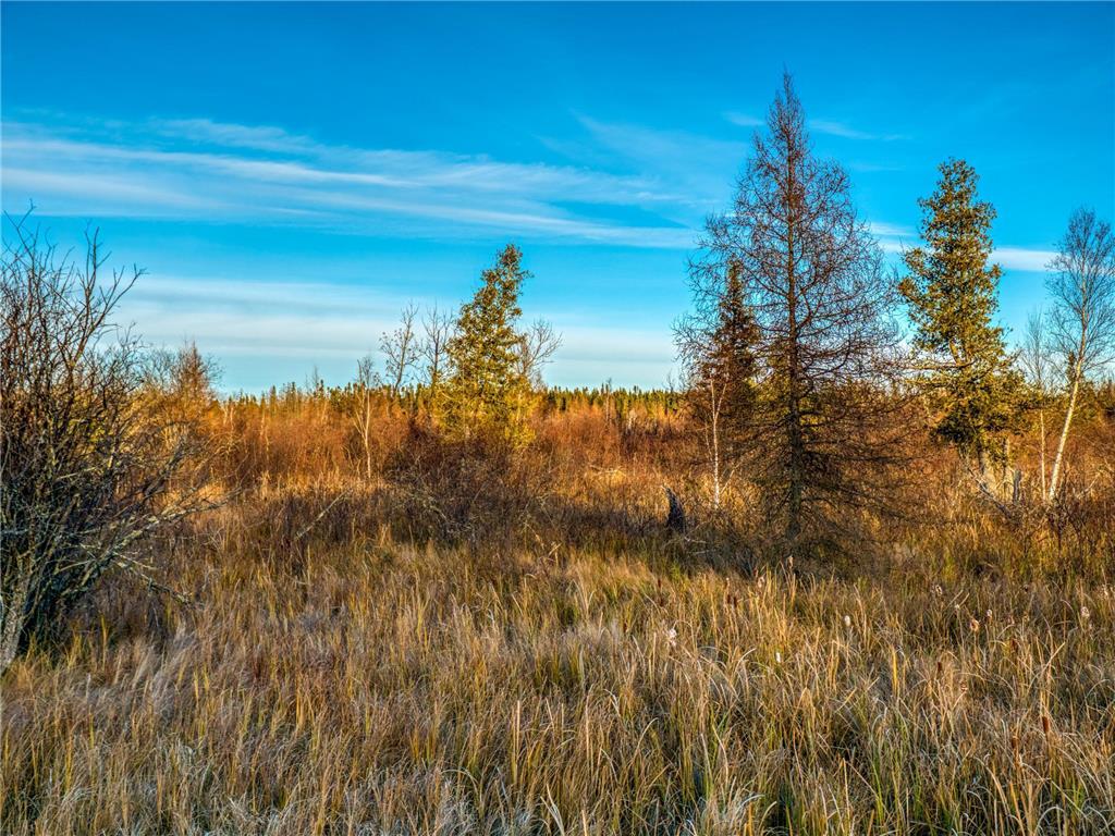 TBD Dora Lake Rd Kinghurst Twp MN 56661 7050749 image8