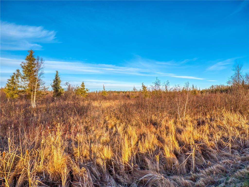 TBD Dora Lake Rd Kinghurst Twp MN 56661 7050749 image9