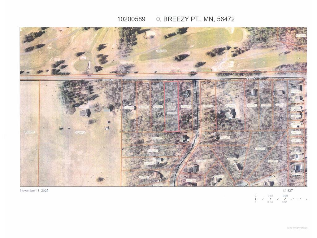 TBD Dove Street Breezy Point MN 56472 6820183 image8