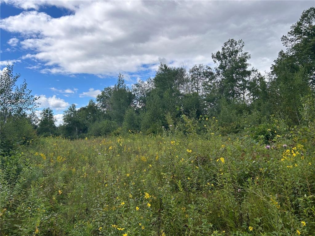 TBD Duncan Road Wilma Twp MN 55072 6773543 image12