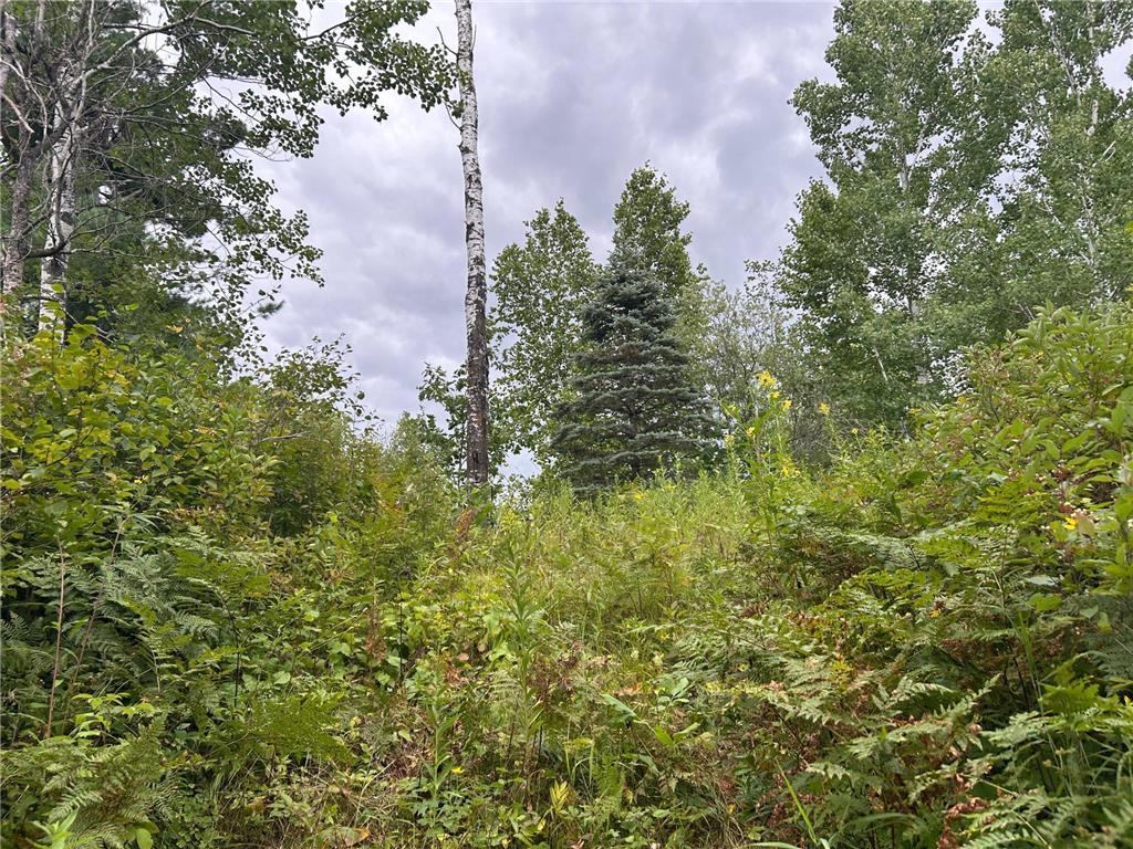 TBD Duncan Road Wilma Twp MN 55072 6773543 image13