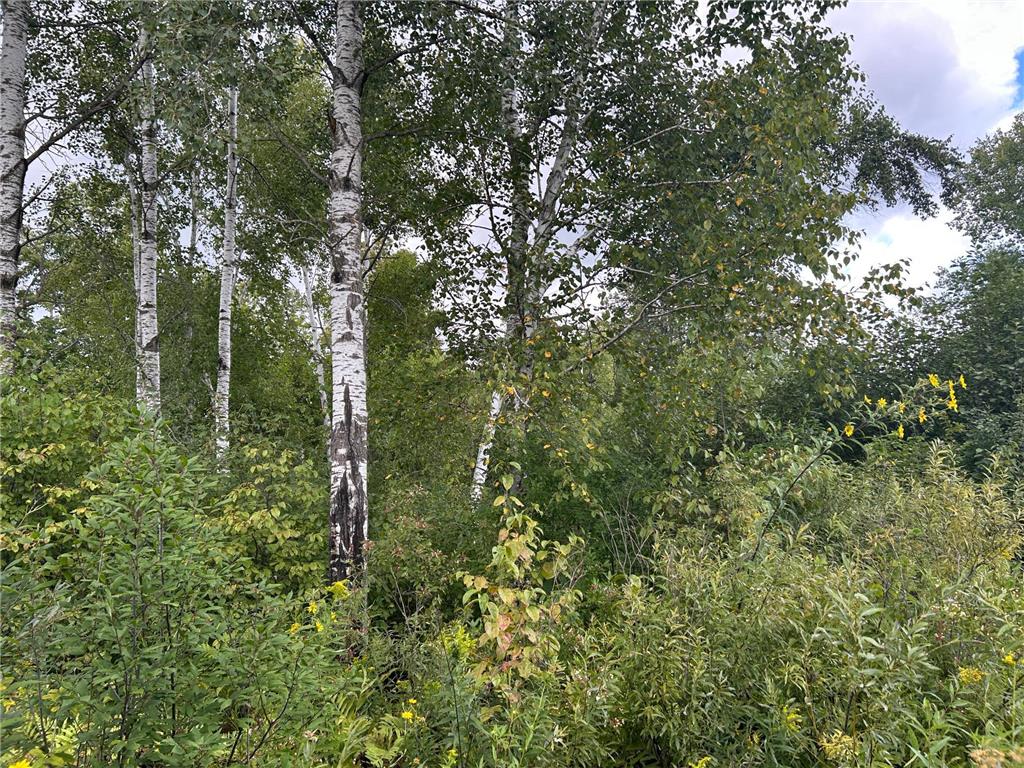 TBD Duncan Road Wilma Twp MN 55072 6773543 image14