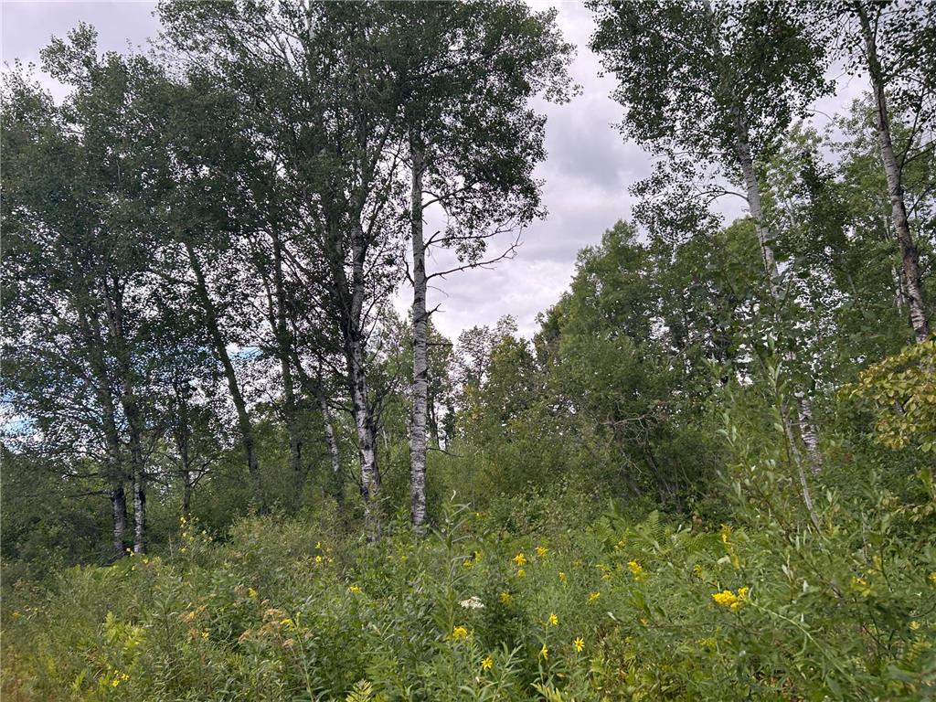 TBD Duncan Road Wilma Twp MN 55072 6773543 image15