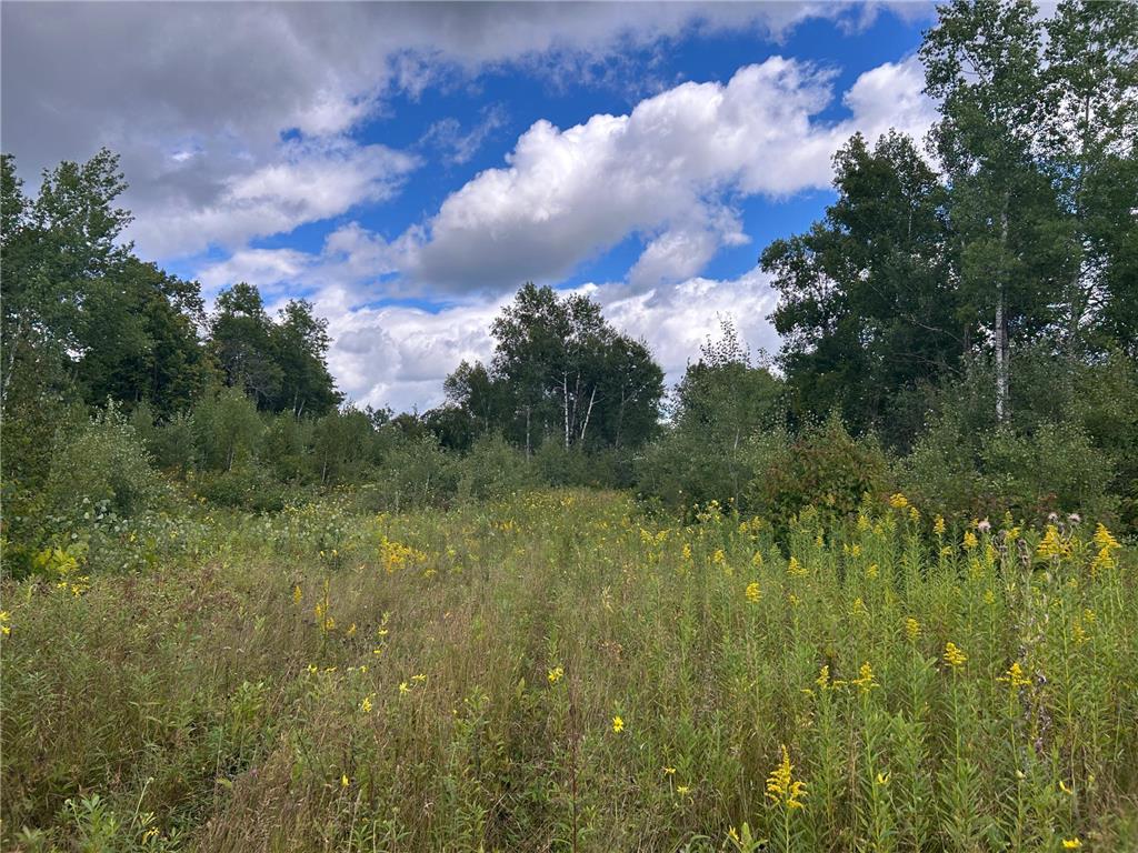 TBD Duncan Road Wilma Twp MN 55072 6773543 image17