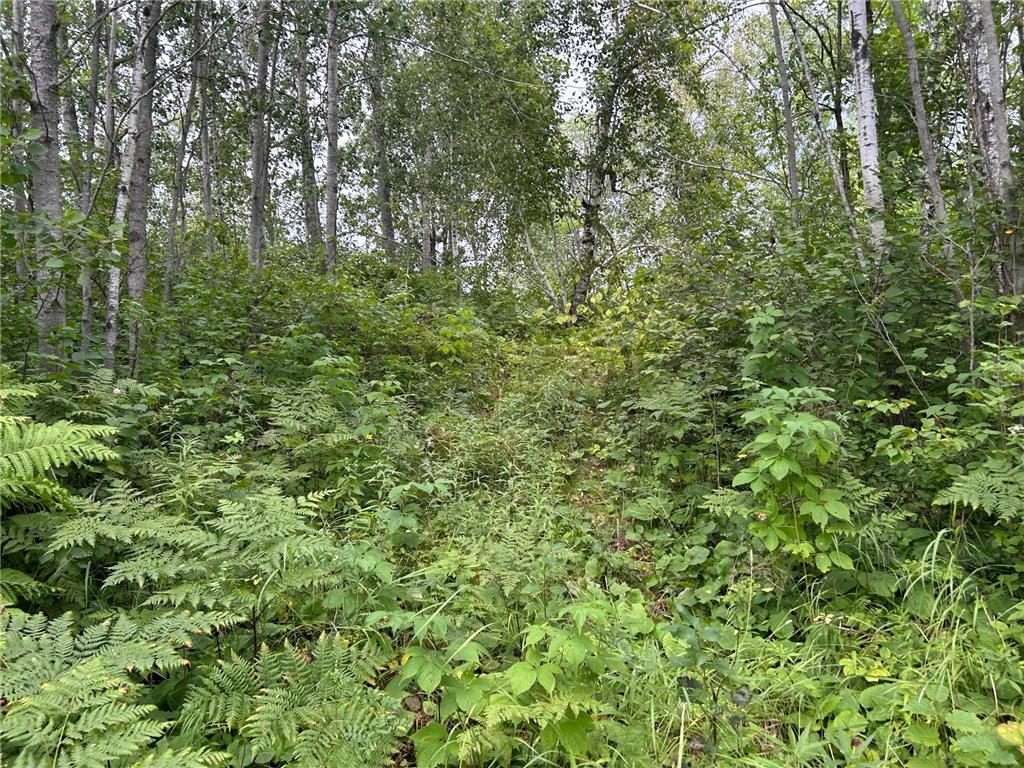 TBD Duncan Road Wilma Twp MN 55072 6773543 image19