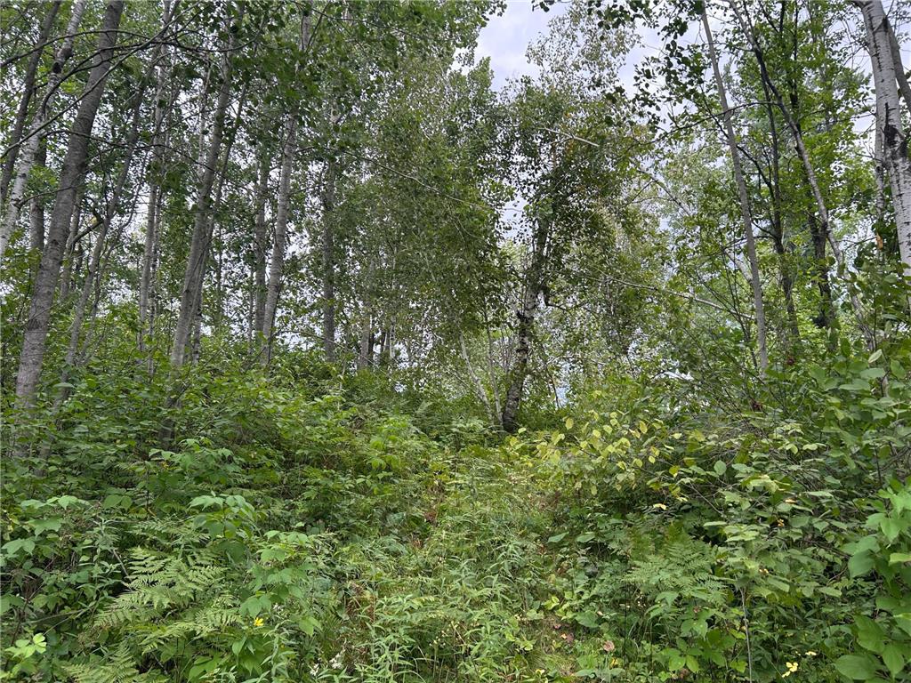 TBD Duncan Road Wilma Twp MN 55072 6773543 image20