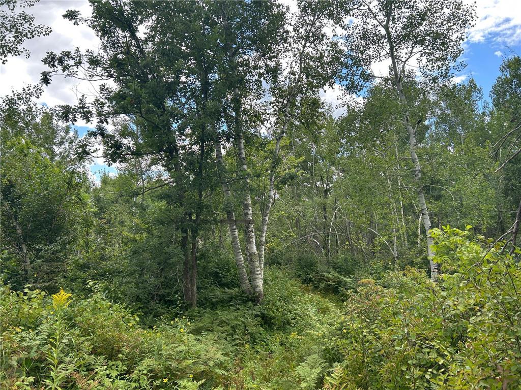 TBD Duncan Road Wilma Twp MN 55072 6773543 image21