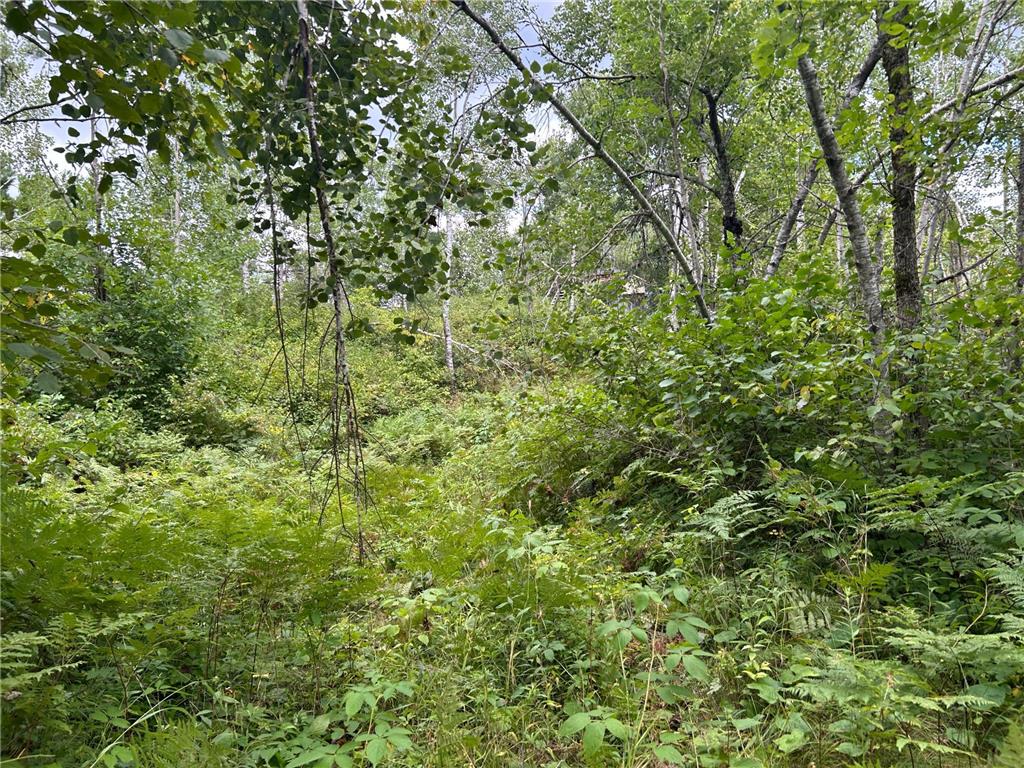 TBD Duncan Road Wilma Twp MN 55072 6773543 image23