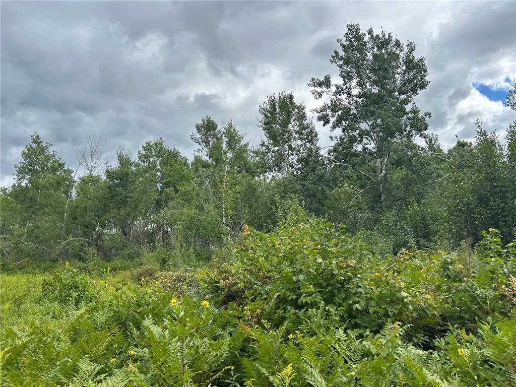 TBD Duncan Road Wilma Twp MN 55072 6773543 image25