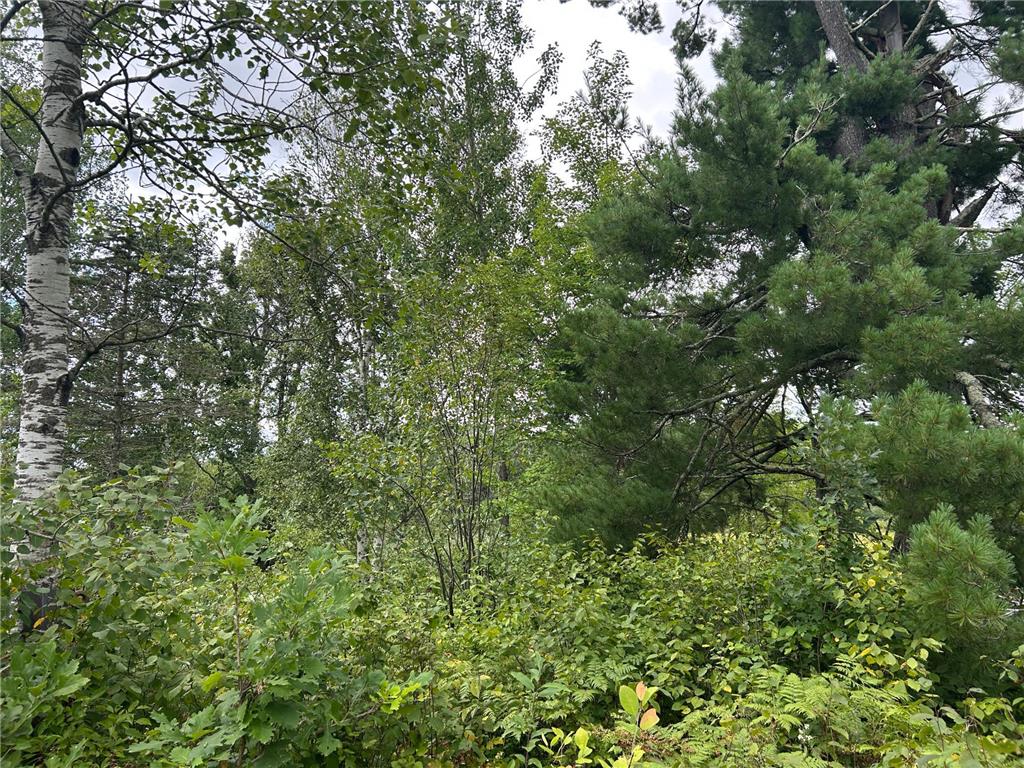 TBD Duncan Road Wilma Twp MN 55072 6773543 image26