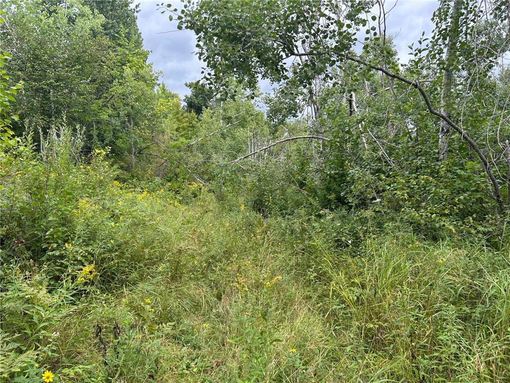 TBD Duncan Road Wilma Twp MN 55072 6773543 image27