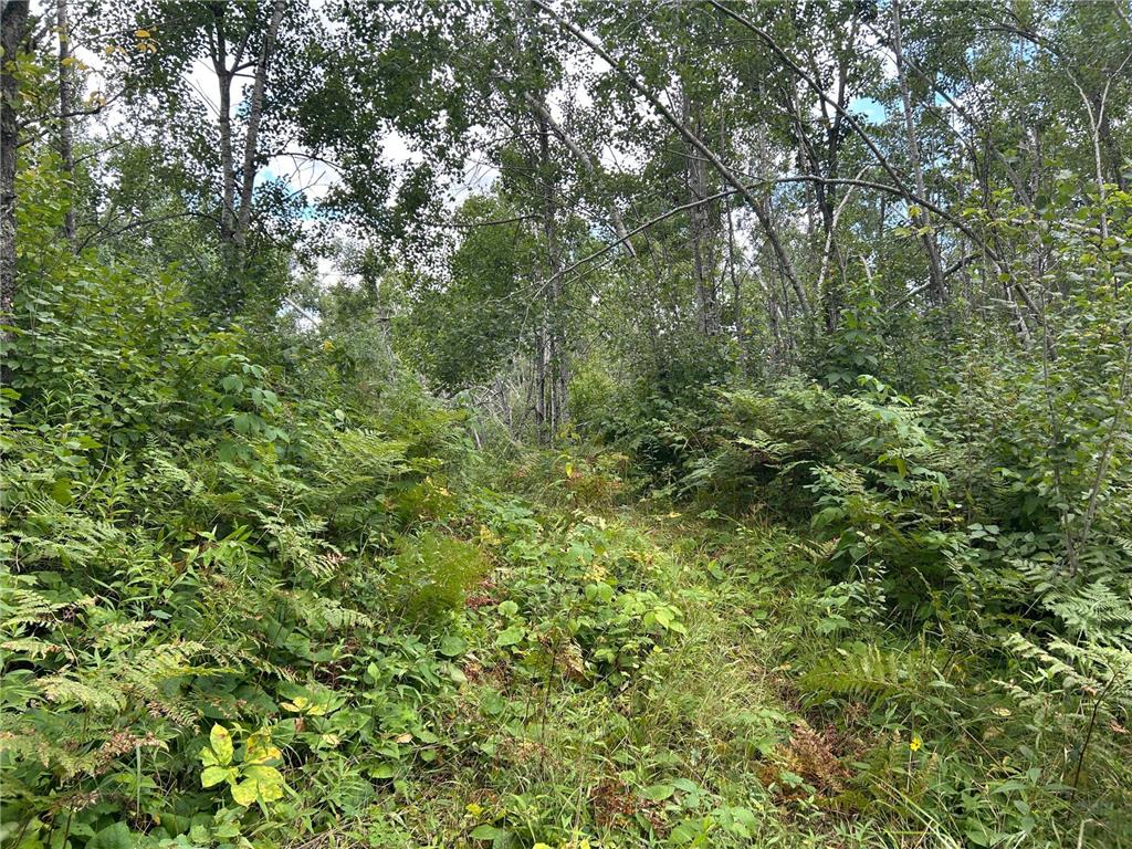 TBD Duncan Road Wilma Twp MN 55072 6773543 image31