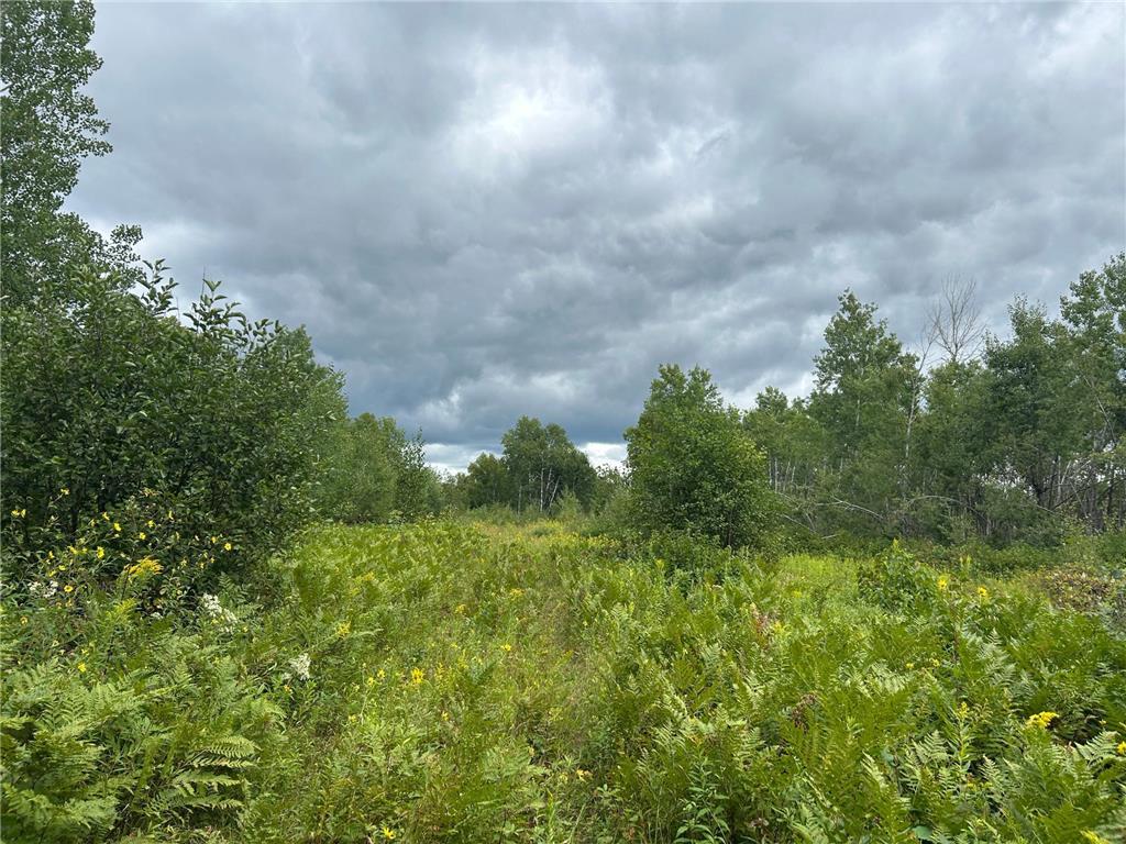 TBD Duncan Road Wilma Twp MN 55072 6773543 image33