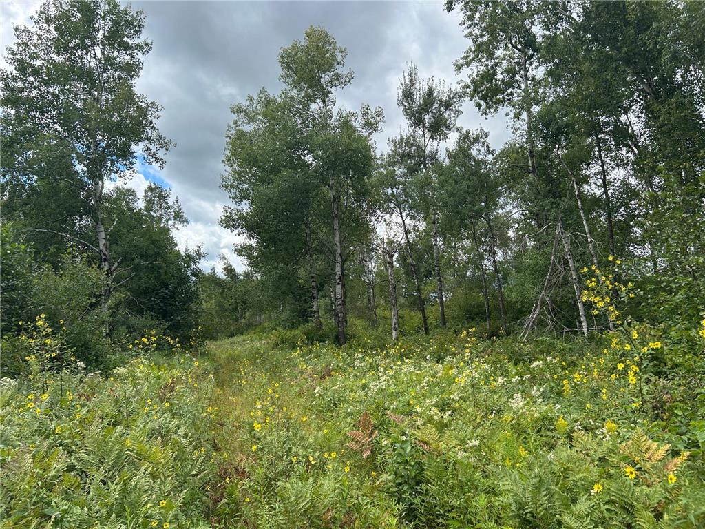TBD Duncan Road Wilma Twp MN 55072 6773543 image34