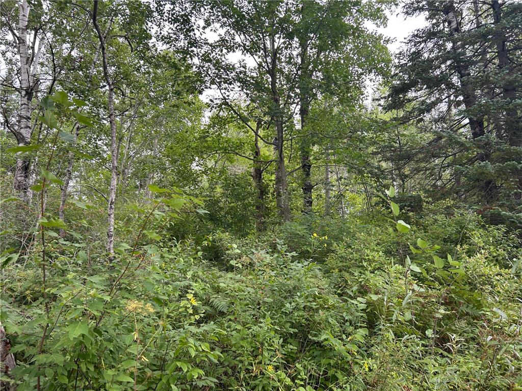 TBD Duncan Road Wilma Twp MN 55072 6773543 image35