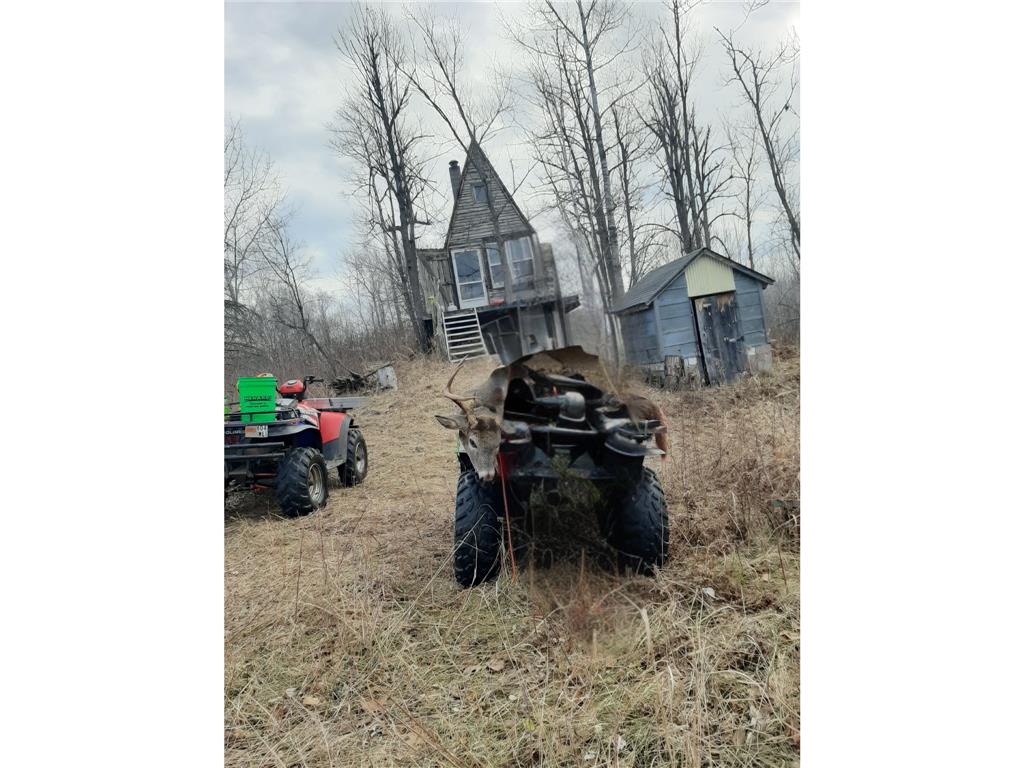 TBD Duncan Road Wilma Twp MN 55072 6773543 image6