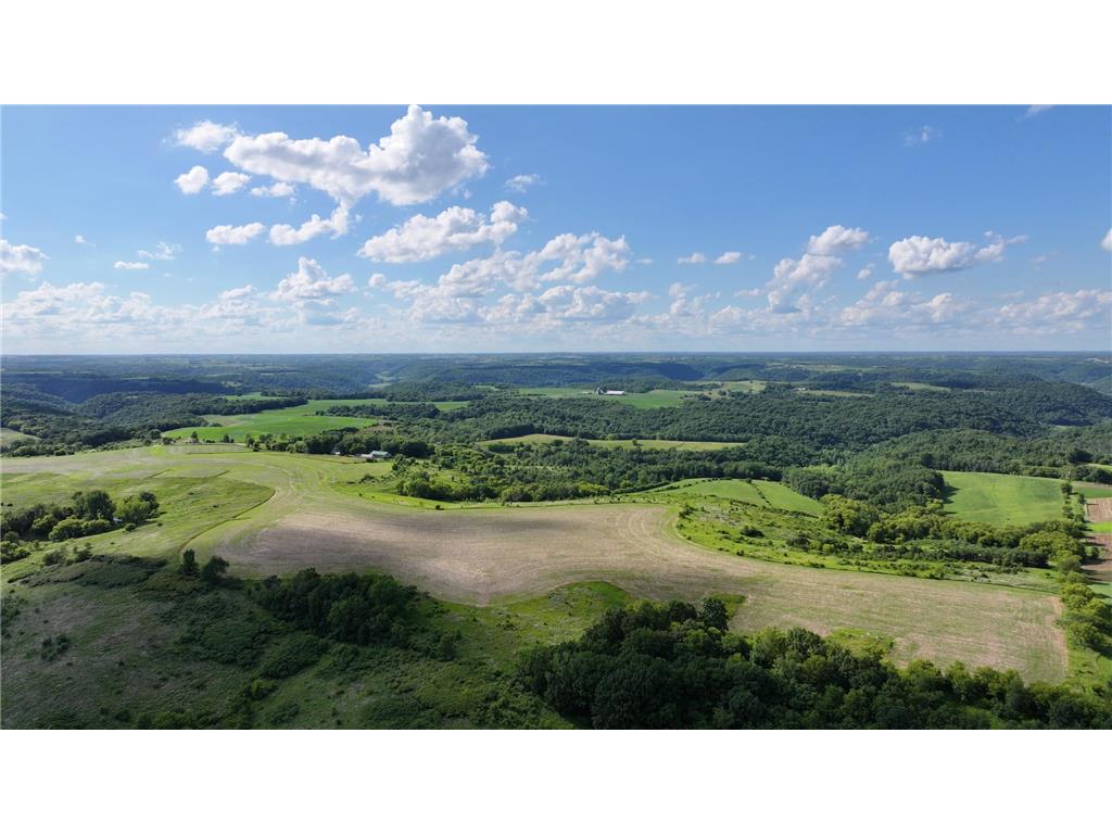TBD Dunn Road Crooked Creek Twp MN 55921 7100276 image1