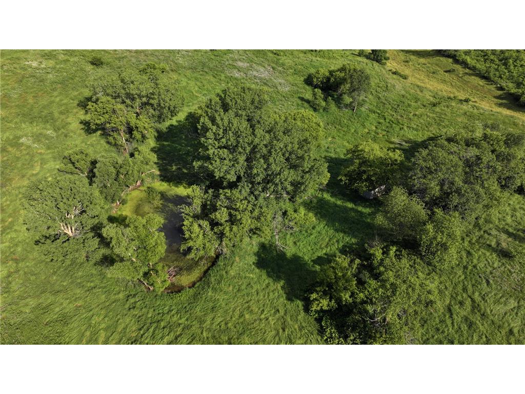 TBD Dunn Road Crooked Creek Twp MN 55921 7100276 image11