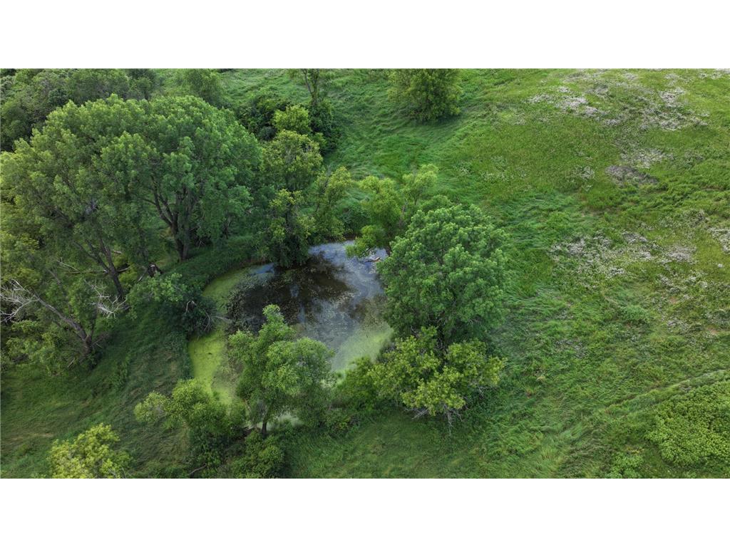 TBD Dunn Road Crooked Creek Twp MN 55921 7100276 image12