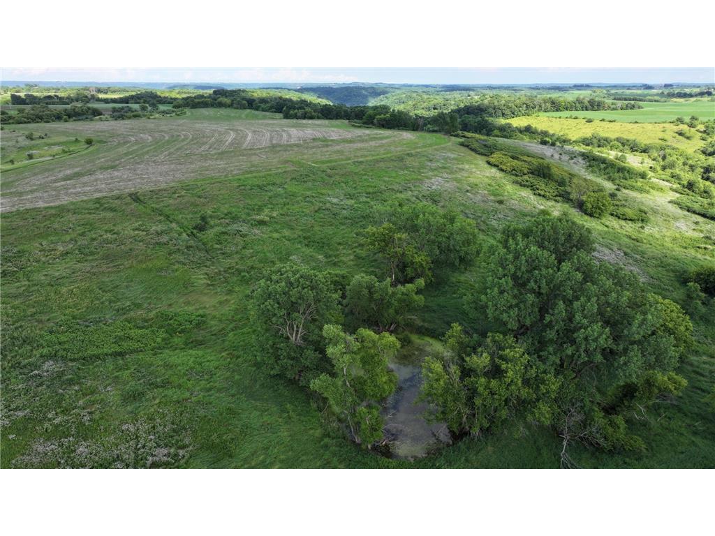 TBD Dunn Road Crooked Creek Twp MN 55921 7100276 image15