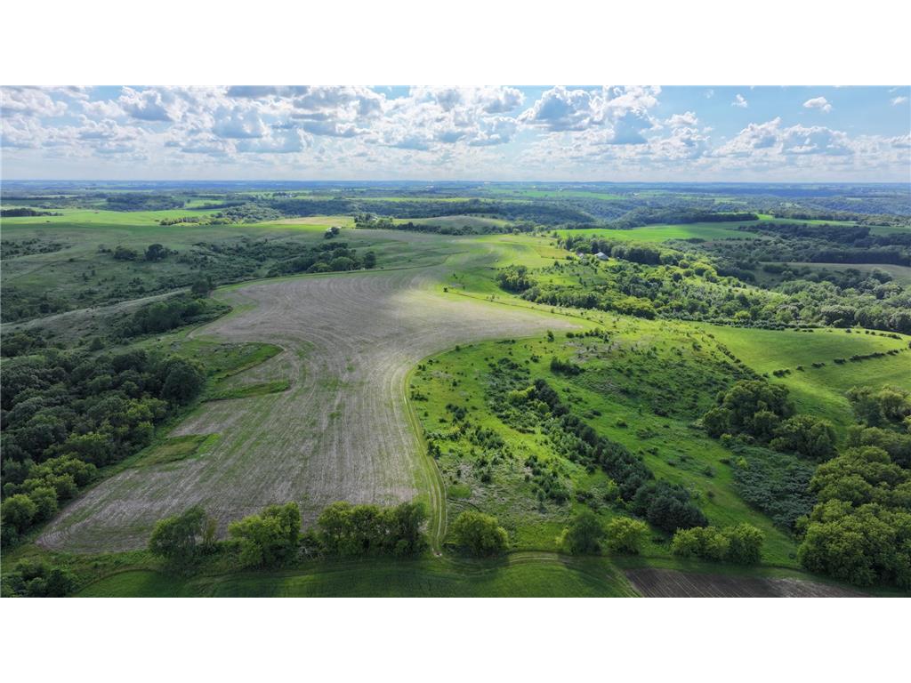 TBD Dunn Road Crooked Creek Twp MN 55921 7100276 image16