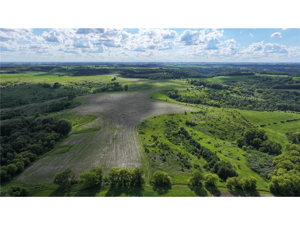 TBD Dunn Road Crooked Creek Twp MN 55921 7100276 image2