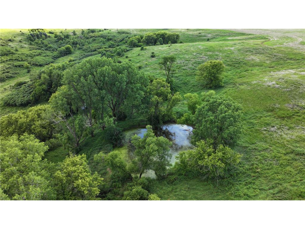 TBD Dunn Road Crooked Creek Twp MN 55921 7100276 image3