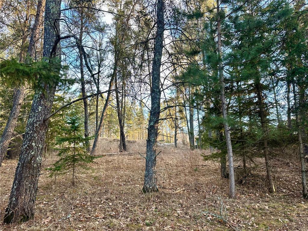 TBD E Blueberry River Dr Menahga MN 56464 7020041 image1