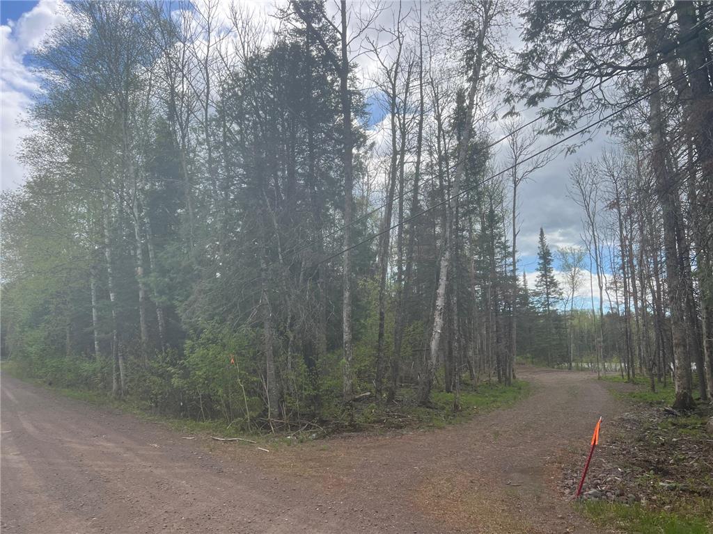 TBD E Briar Lake Drive Duluth MN 55803 - Briar 6727345 image11