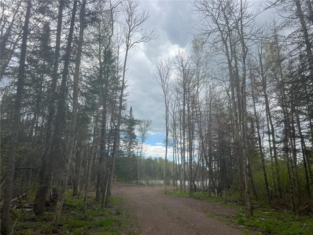 TBD E Briar Lake Drive Duluth MN 55803 - Briar 6727345 image14