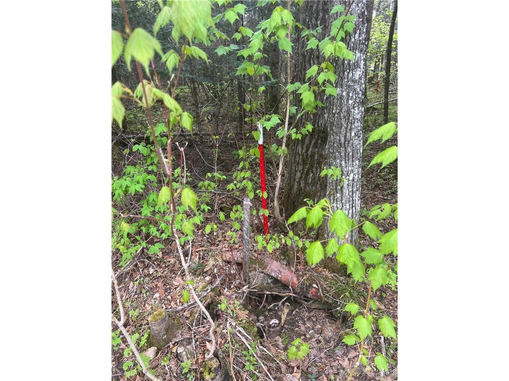 TBD E Briar Lake Drive Duluth MN 55803 - Briar 6727345 image16