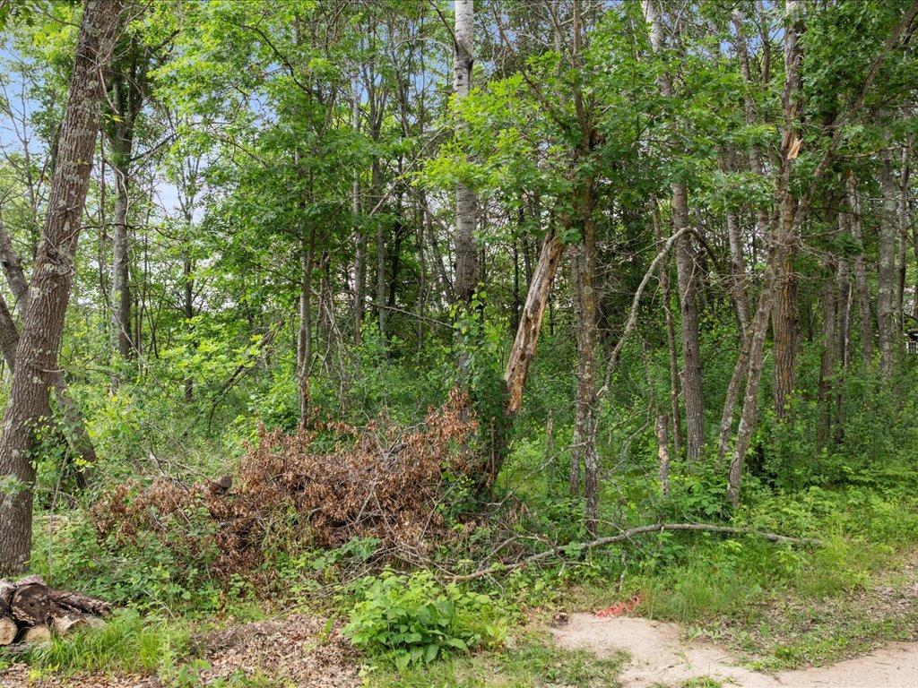 TBD E Cree Bay Circle Pelican Twp MN 56472 - Pelican 7001618 image3