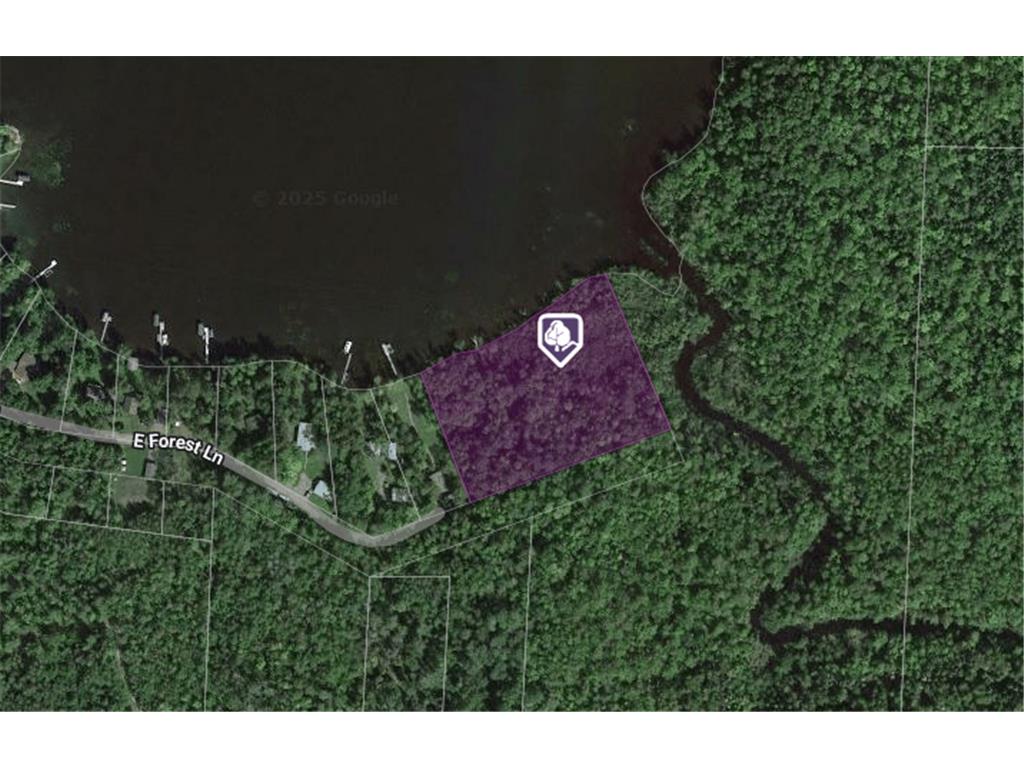 TBD E Forest Lane Fine Lakes Twp MN 55798 - Prairie 6731974 image1