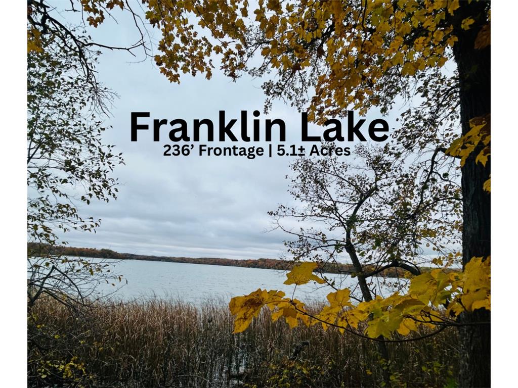 TBD E Lake Lizzie Road Lida Twp MN 56572 - Franklin Lake 6800047 image1