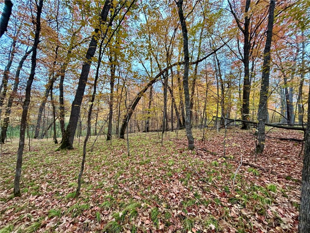 TBD E Lake Lizzie Road Lida Twp MN 56572 - Franklin Lake 6800047 image10