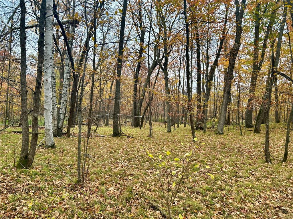 TBD E Lake Lizzie Road Lida Twp MN 56572 - Franklin Lake 6800047 image11