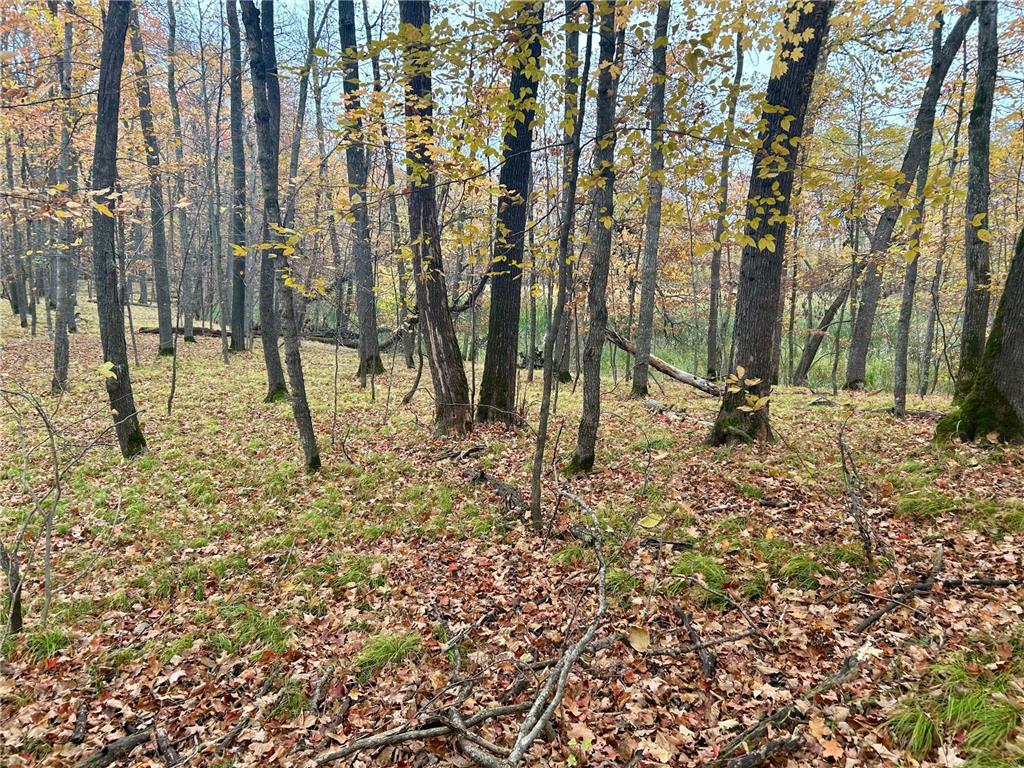 TBD E Lake Lizzie Road Lida Twp MN 56572 - Franklin Lake 6800047 image13