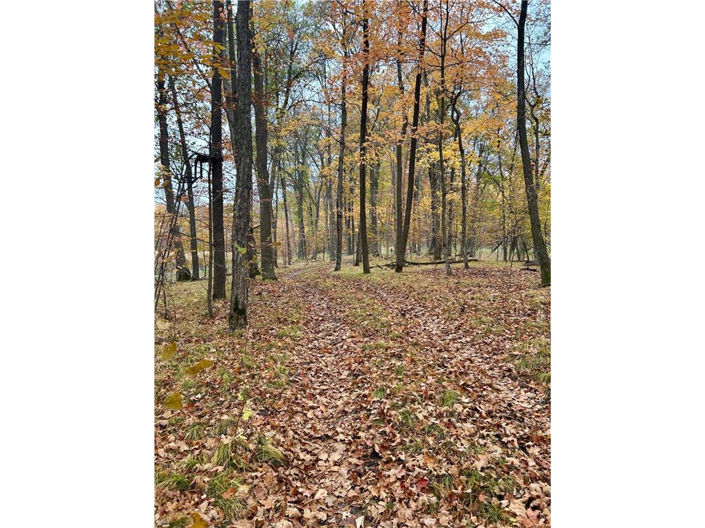 TBD E Lake Lizzie Road Lida Twp MN 56572 - Franklin Lake 6800047 image14