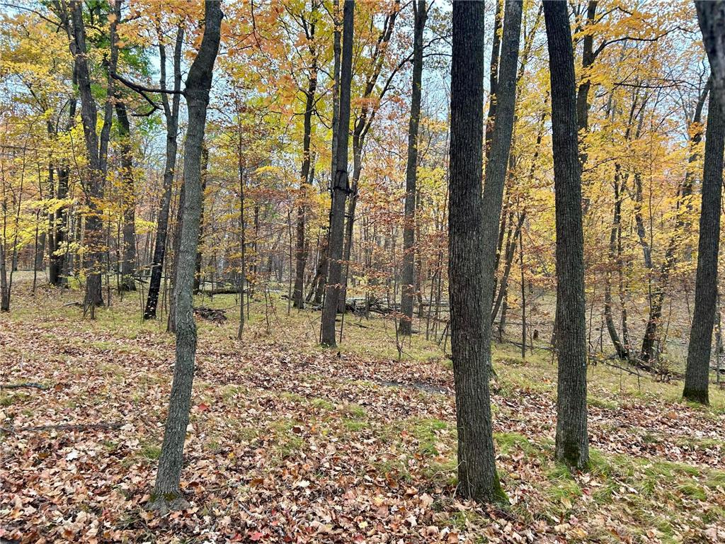 TBD E Lake Lizzie Road Lida Twp MN 56572 - Franklin Lake 6800047 image15