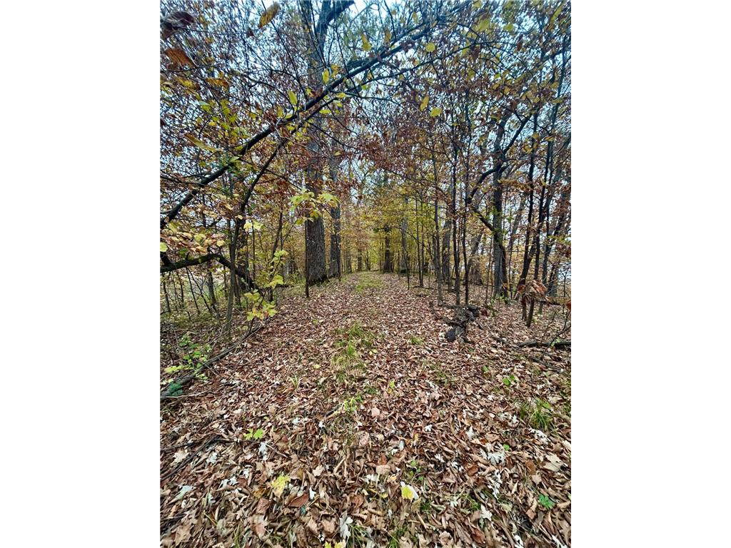 TBD E Lake Lizzie Road Lida Twp MN 56572 - Franklin Lake 6800047 image3