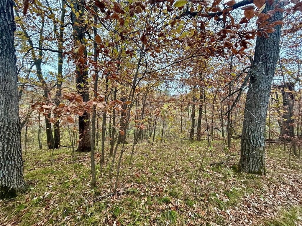 TBD E Lake Lizzie Road Lida Twp MN 56572 - Franklin Lake 6800047 image7