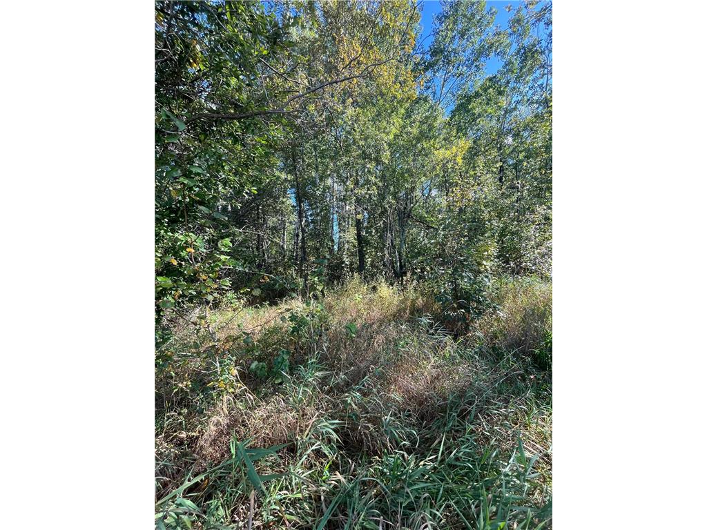 TBD E Pine Drive Angle Inlet MN 56711 - Pine Creek 6792097 image3