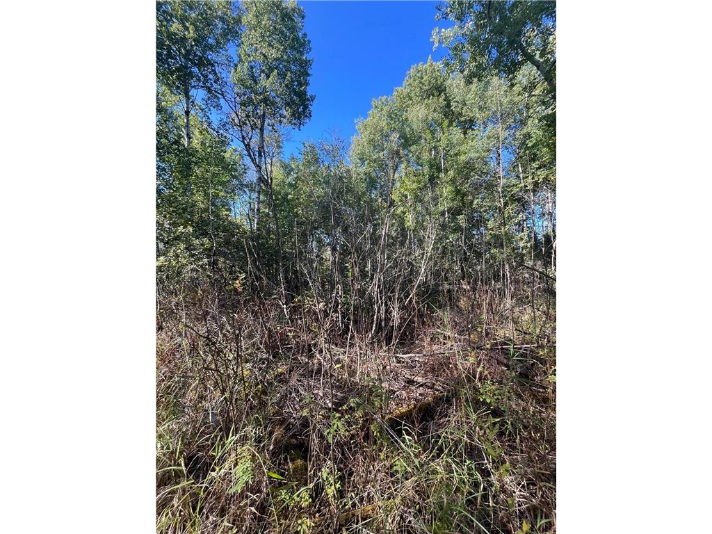 TBD E Pine Drive Angle Inlet MN 56711 - Pine Creek 6792097 image6