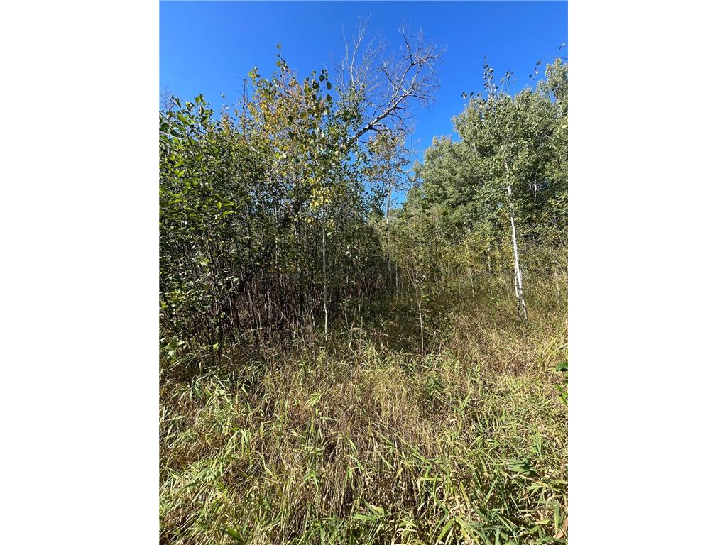 TBD E Pine Drive Angle Inlet MN 56711 - Pine Creek 6792097 image9