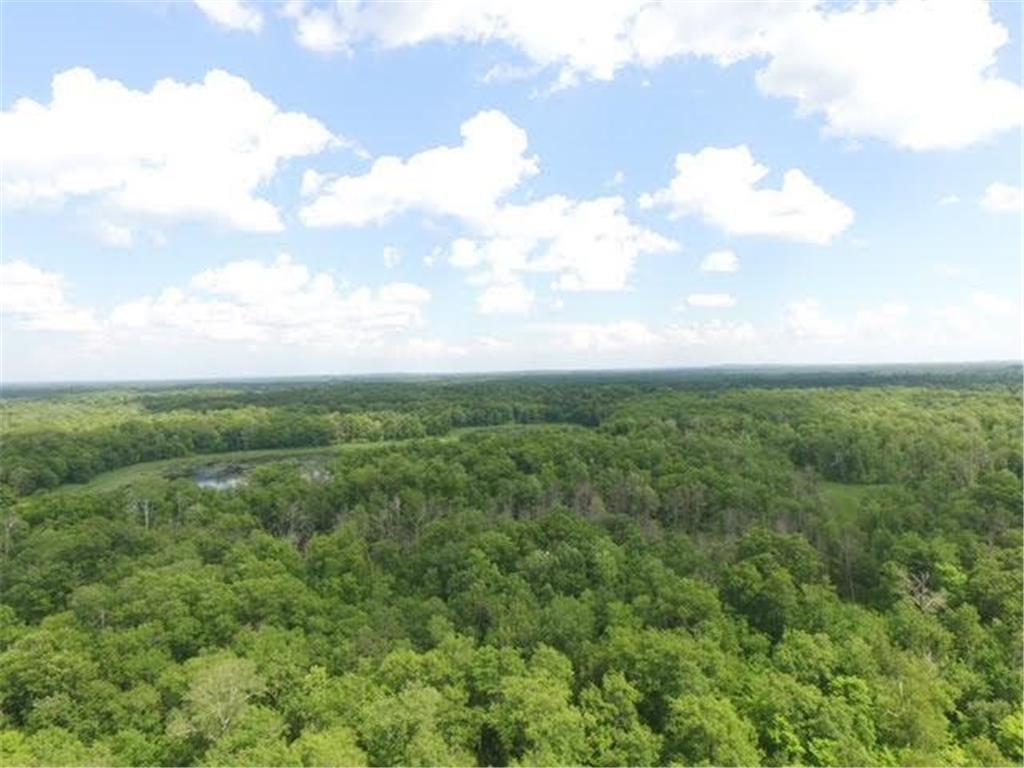 TBD Eagle Claw Lane NE Boy River MN 56672 6391996 image1