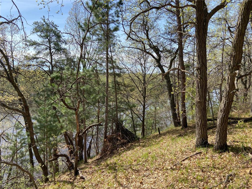 TBD Eagle Ridge Baxter MN 56425 - Mississippi 6801182 image3