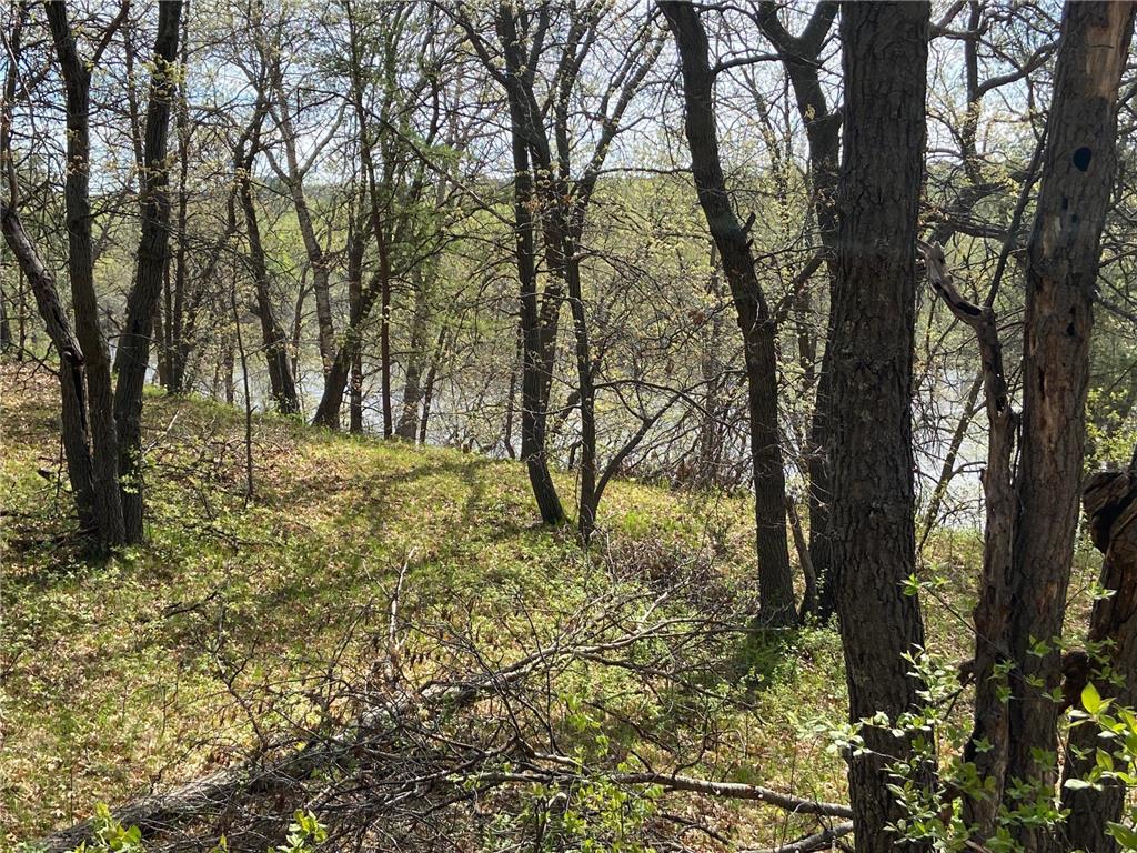 TBD Eagle Ridge Baxter MN 56425 - Mississippi 6801182 image4